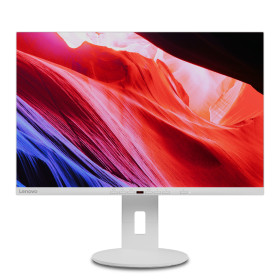 Lenovo C24d-20 LED display 24" 1920 x 1200 pixels Full HD Gray, White