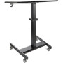 StarTech.com STSCART2 desktop sit-stand workplace