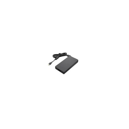 Lenovo 4X20Z83995 adaptateur de puissance & onduleur Intérieure 230 W Noir