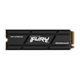 Kingston Technology 1000G RENEGADE PCIe 4.0 NVMe SSD W/ Radiateur de dissipation thermique
