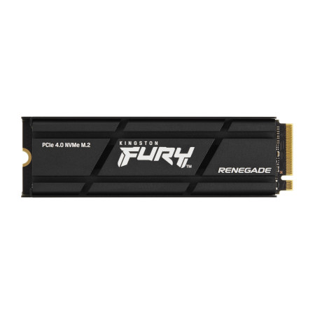 Kingston Technology 1000G RENEGADE PCIe 4.0 NVMe SSD W/ Radiateur de dissipation thermique