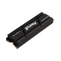 Kingston Technology 1000G RENEGADE PCIe 4.0 NVMe SSD W/ Radiateur de dissipation thermique