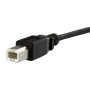 StarTech.com USBPNLBFBM3 USB cable USB 2.0 35.8" (0.91 m) USB B Black