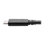 Tripp Lite U420-003-G2-5A câble USB USB 3.2 Gen 2 (3.1 Gen 2) 0,914 m USB C Noir