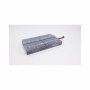 Eaton EB011SP Batterie de l'onduleur Sealed Lead Acid (VRLA) 6 V 9 Ah