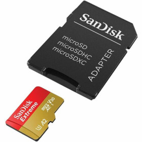SanDisk Extreme 32 Go MicroSDHC UHS-I Classe 10