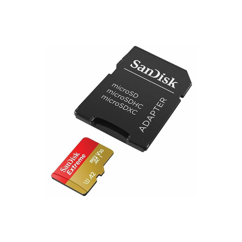 SanDisk Extreme 32 Go MicroSDHC UHS-I Classe 10
