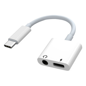 Samsung GP-TGU023AEB interface cards/adapter 3.5 mm, USB Type-C