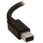 ADAPTATEUR MINI DISPLAYPORT