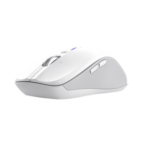 Trust 25674 mouse Universal Ambidextrous Bluetooth 3200 DPI