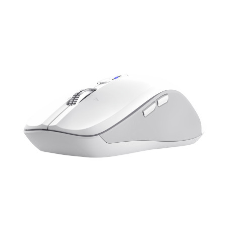 Trust 25674 mouse Universal Ambidextrous Bluetooth 3200 DPI