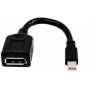 Câble A/V HP DisplayPort/Mini DisplayPort