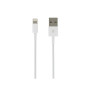 USB-A to Apple Lighting Cable - 1M