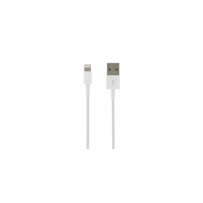 USB-A to Apple Lighting Cable - 1M