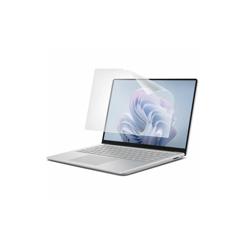 Standard screen filter for 31,2 cm (12,3")