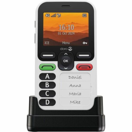 Téléphone portable standard Doro Leva X10 DFB-0580 128 Mo