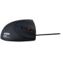 Urban Factory ERGO Mouse - USB Type A - Optical