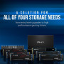 SSD PNY CS1030 - M.2 2280 Internal - 250 Go