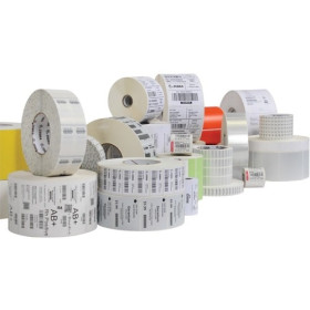 Zebra Z-Perform Multipurpose Label - Rectangle - Paper - 2050 / Roll