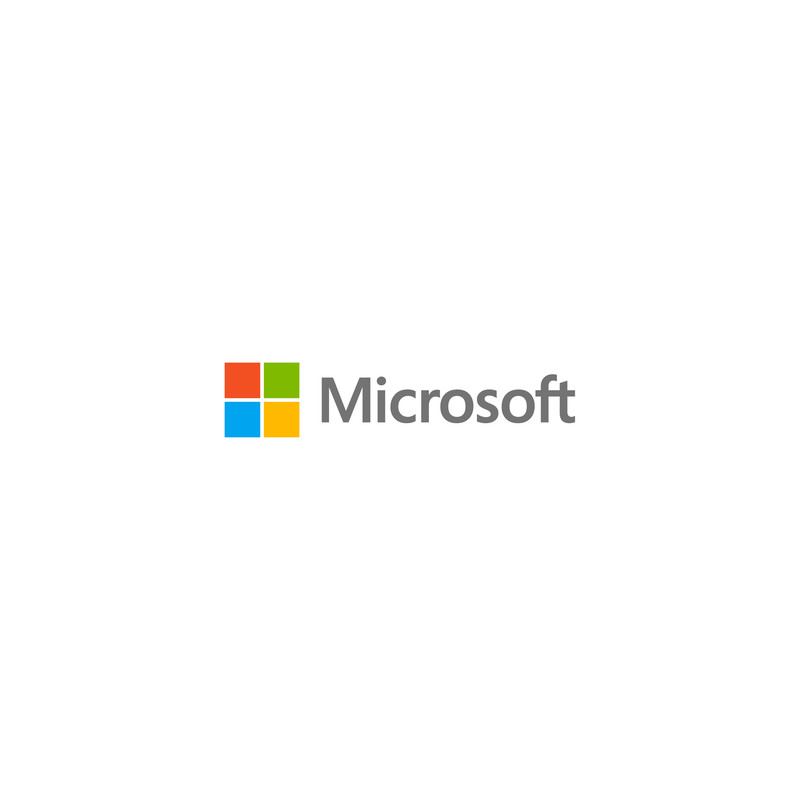 Microsoft Windows Remote Desktop Services 2019 - Licence - PC