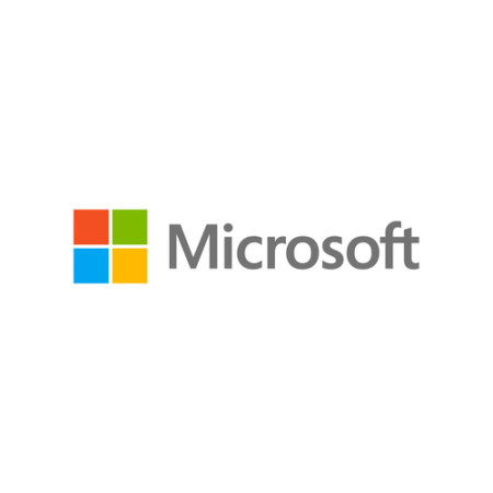 Microsoft Windows Remote Desktop Services 2019 - Licence - PC