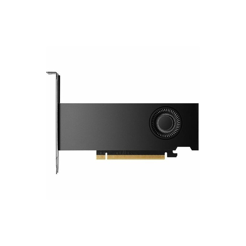 PNY NVIDIA RTX 2000 Ada - 16 Go GDDR6