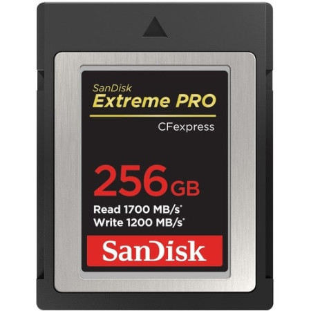 SanDisk Extreme Pro CFexpress Card Type B - 256 GB