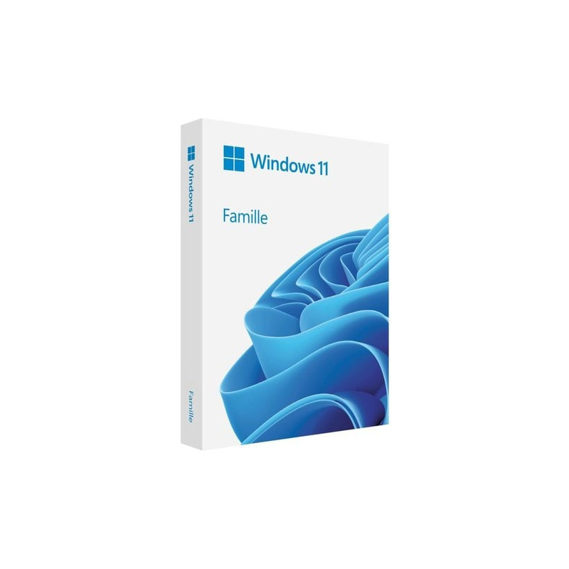 Microsoft Windows 11 Home - OEM (DVD) - French