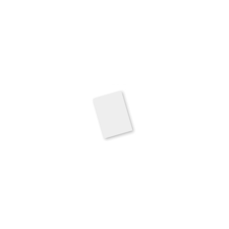 Zebra SG-TC7X-SCRNTMP-01 accessoire d’ordinateur mobile portable