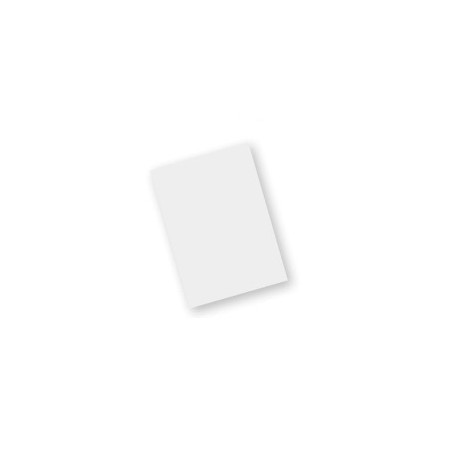 Zebra SG-TC7X-SCRNTMP-01 accessoire d’ordinateur mobile portable