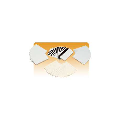 Zebra PVC Card, 30mil