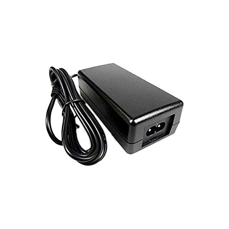 Zebra P1080383-704 adaptateur de puissance & onduleur Intérieure 60 W Noir