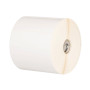 Zebra Z-Ultimate 3000T Blanc Permanent Adhesive