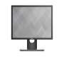 DELL 19 MONITOR - P1917S -