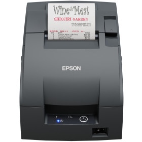 Epson TM-U220IIB imprimante matricielle (à points)