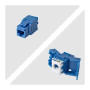 StarTech.com C6KEYTL180BL24PK keystone module