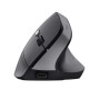 Trust TM-270 mouse Office Right-hand RF Wireless Optical 2400 DPI