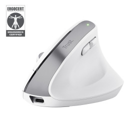 Trust Bayo+ souris Bureau Droitier RF sans fil + Bluetooth Optique 2400 DPI