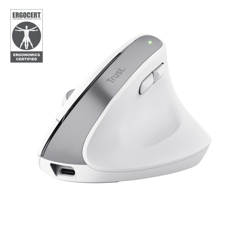 Trust Bayo+ souris Bureau Droitier RF sans fil + Bluetooth Optique 2400 DPI
