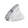 Trust Bayo+ souris Bureau Droitier RF sans fil + Bluetooth Optique 2400 DPI