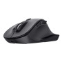Trust Fyda mouse Office Right-hand RF Wireless + Bluetooth Optical 2400 DPI