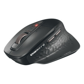 CHERRY Stream mouse ultimate souris Universel Droitier RF Wireless + Bluetooth + USB Type-C 4000 DPI