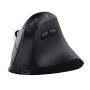 Trust Vyran souris Universel Droitier RF sans fil + Bluetooth Optique 4800 DPI