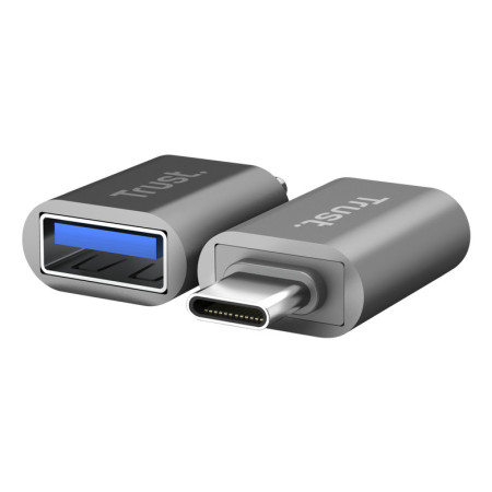 Trust 26221 adaptateur graphique USB Argent