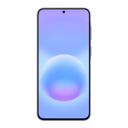 Samsung Galaxy A57 5G Enterprise Edition 6.7" Dual SIM Android 16.0 USB Type-C 8 GB 256 GB 5000 mAh Gray