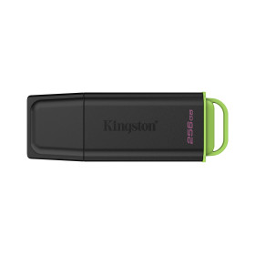 Kingston Technology DataTraveler 256Go Stockage portable USB 3.2 Gen 1 Exodia Noir + Vert