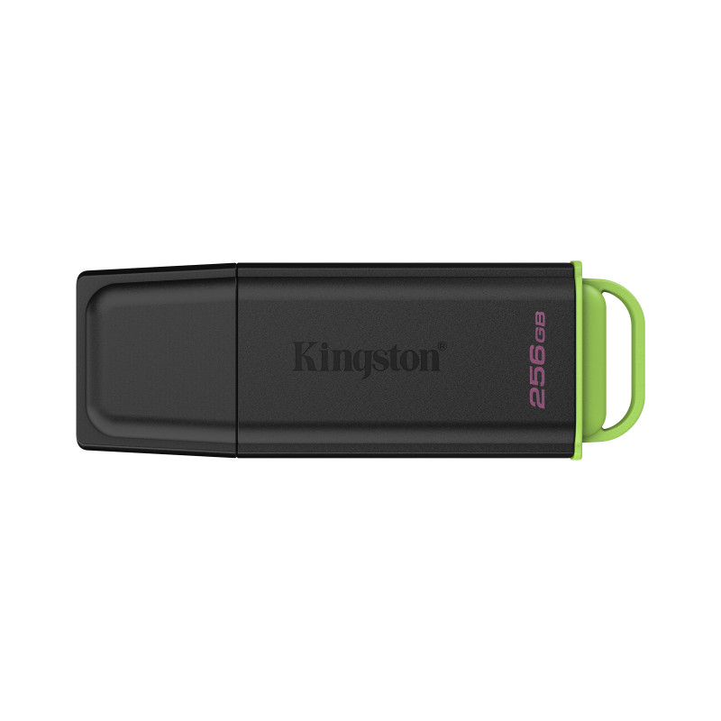 Kingston Technology DataTraveler 256Go Stockage portable USB 3.2 Gen 1 Exodia Noir + Vert