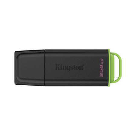 Kingston Technology DataTraveler 256Go Stockage portable USB 3.2 Gen 1 Exodia Noir + Vert