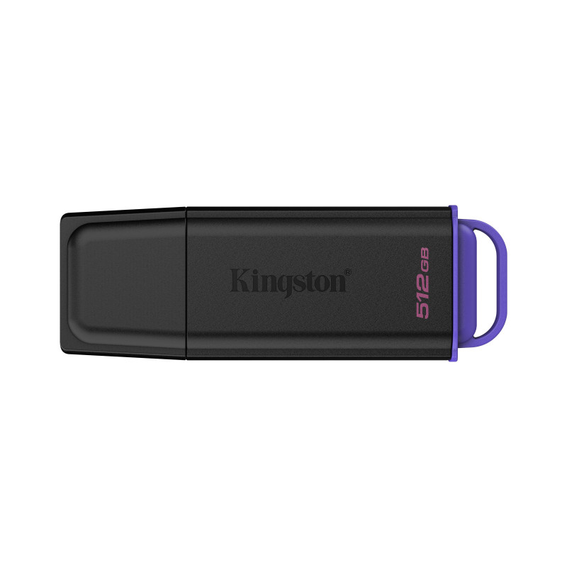 Kingston Technology DataTraveler 512Go Stockage portable USB 3.2 Gen 1 Exodia Noir + Violet