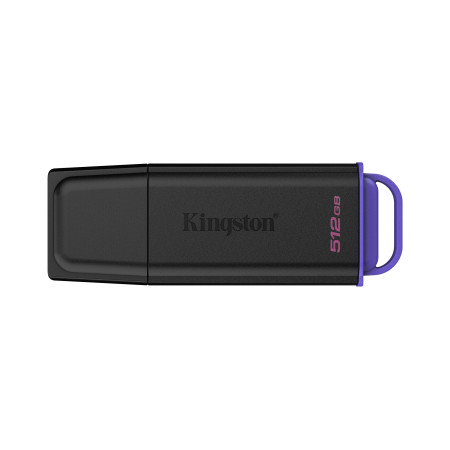 Kingston Technology DataTraveler 512Go Stockage portable USB 3.2 Gen 1 Exodia Noir + Violet